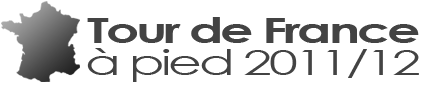 TDFAP logo v1